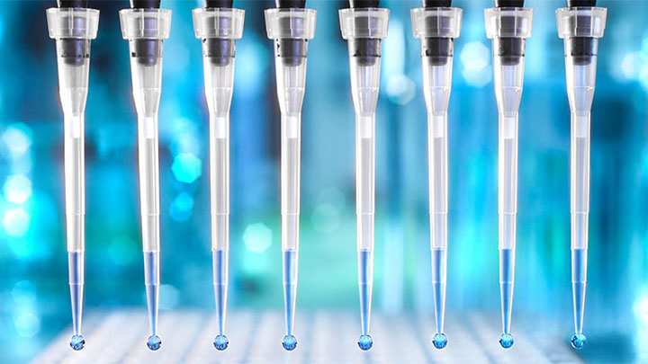 Multichannel pipette dropping liquid into a 96 well plate.