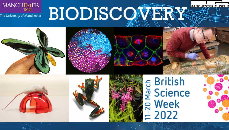biodiscovery images of wildlife