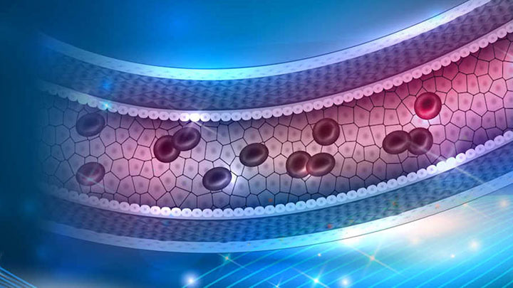 A 3D illustration of blood cells in a healthy blood vessel.