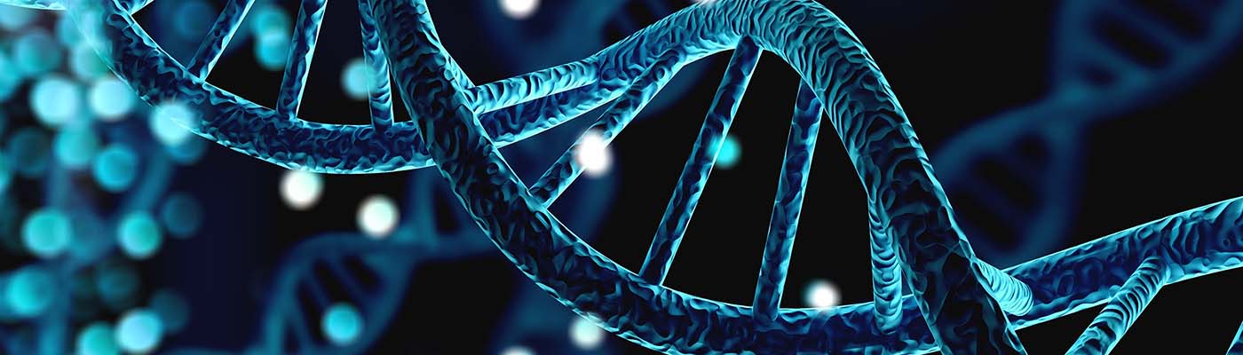 An illustration of a double helix.