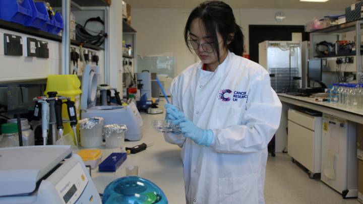 Researchers analysing data on a lab computer.