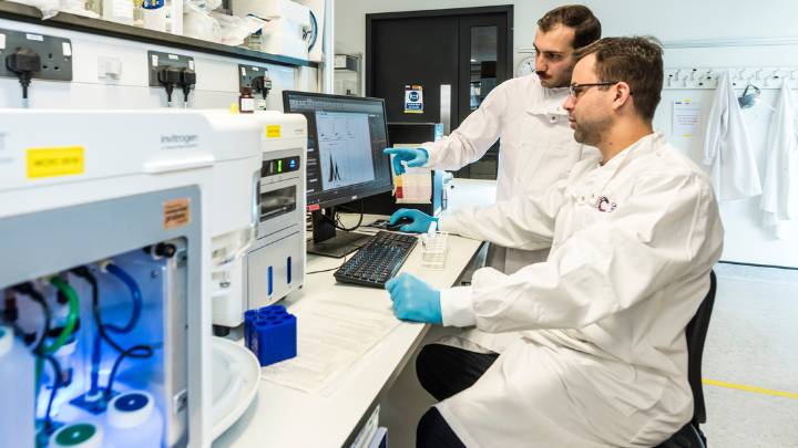 A researcher studying samples under a microscope.